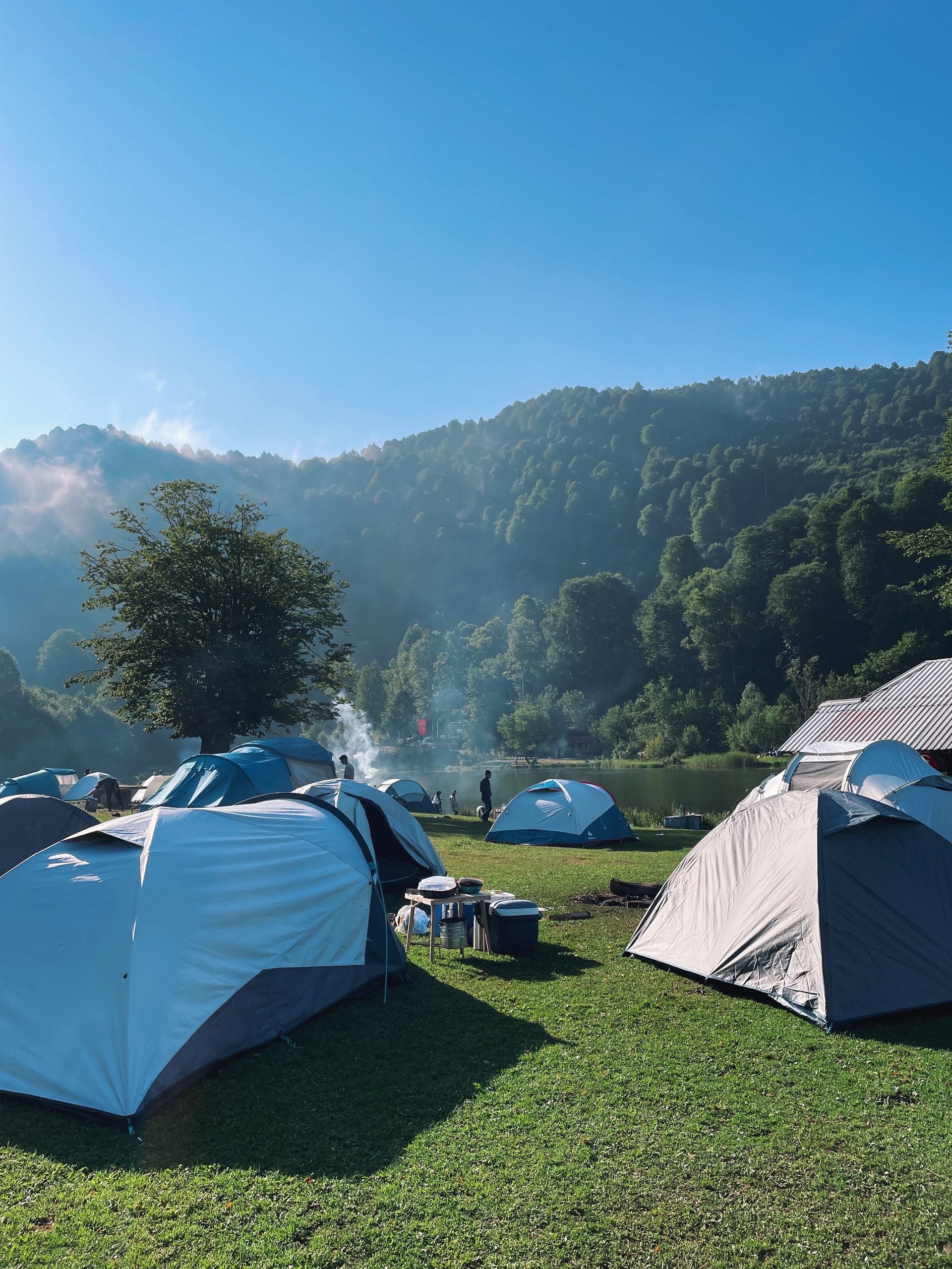 Pineforge shelter and campsite gear